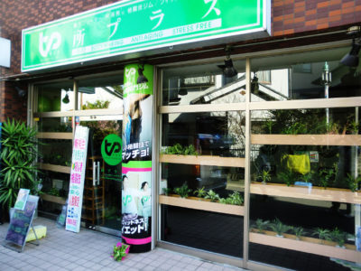 所プラス 柱巻看板